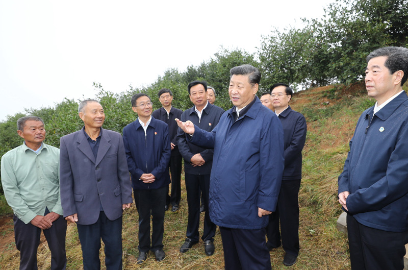 　　9月16日至18日，中共中央總書記、國家主席、中央軍委主席習近平在河南考察。這是17日上午，習近平來到信陽市光山縣槐店鄉(xiāng)司馬光油茶園，同正在勞作的村民和管理人員交流。 新華社記者 鞠鵬 攝