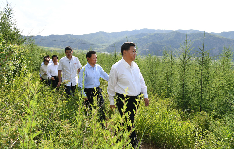 7月15日至16日，中共中央總書記、國家主席、中央軍委主席習近平在內(nèi)蒙古考察并指導(dǎo)開展“不忘初心、牢記使命”主題教育。這是15日下午，習近平在赤峰市喀喇沁旗馬鞍山林場林區(qū)，沿著崎嶇的護林小道察看林木長勢。